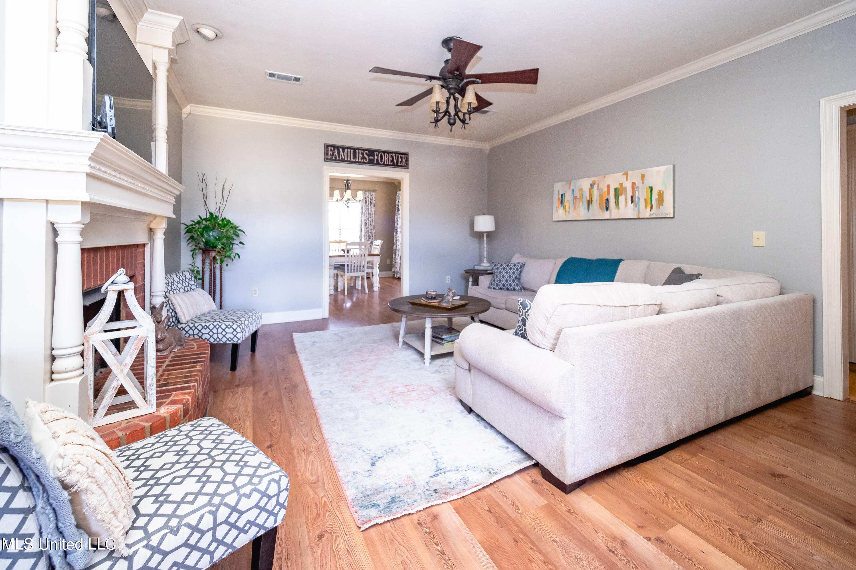 146 Copper Ridge Lane Florence, MS 39073 - Photo 3 of 26 Living Room from Front Door Entrance