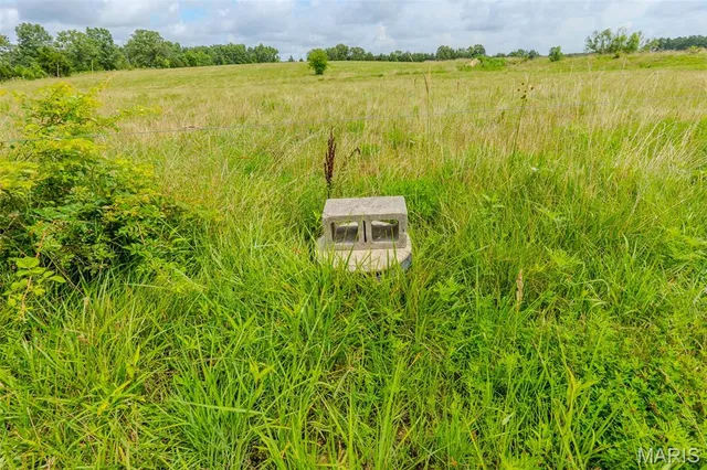 $949,000 | 20372 County Road 6380, Edgar Springs, MO 65462