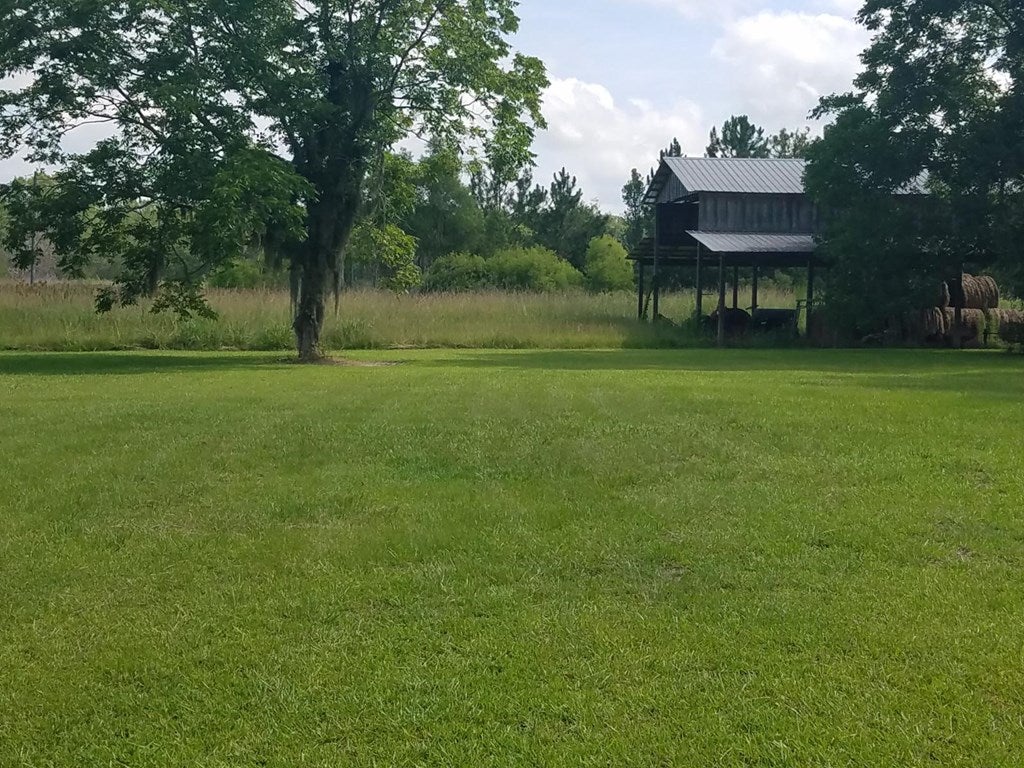 1707 Luke Road Ray City, GA 31645 - Photo 17 of 21 Gallery Image 17