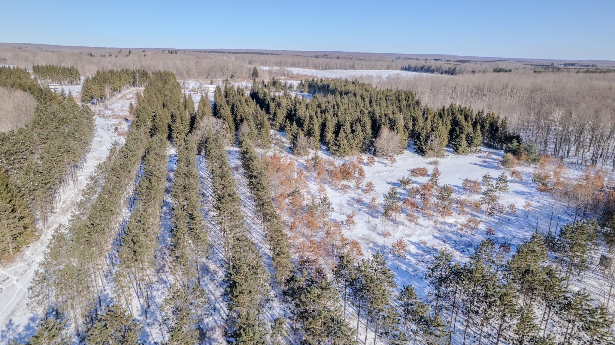 8178 East Stockwell Road Harrison, MI 48625 - Photo 86 of 89