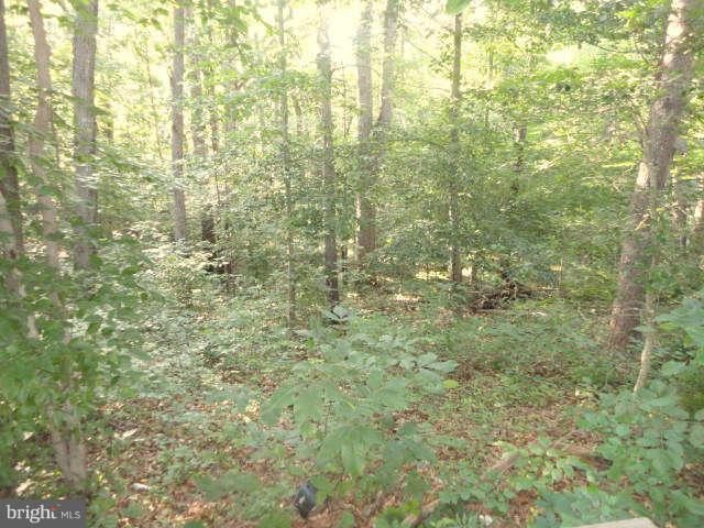 6192 Sumerduck Road Remington, VA 22734 - Photo 24 of 24 Exterior (Rear)