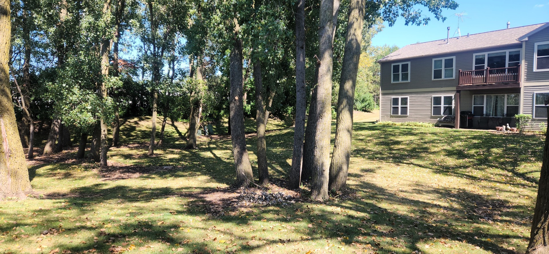 1013 Saxon Court, Unit B Elgin, IL 60120 - Photo 17 of 17 a view of a house with a tree in the yard