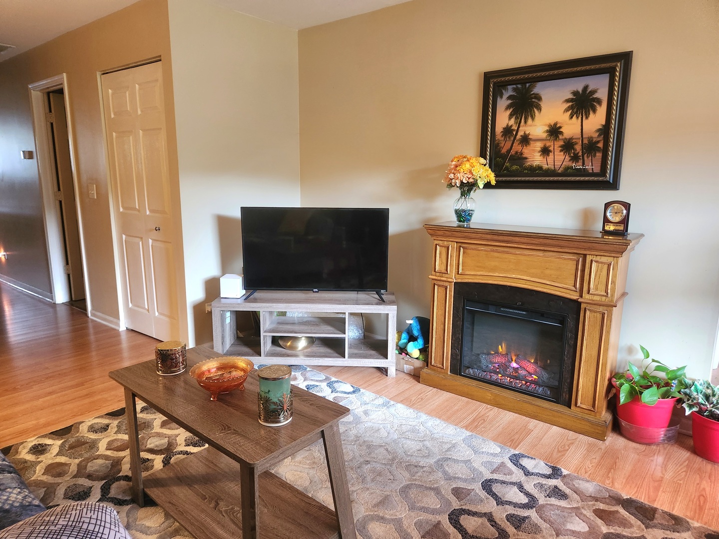 1013 Saxon Court, Unit B Elgin, IL 60120 - Photo 5 of 17 a living room with furniture a flat screen tv and a fireplace