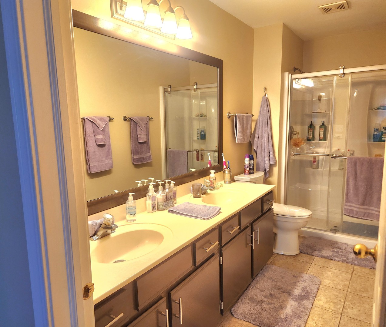 1013 Saxon Court, Unit B Elgin, IL 60120 - Photo 9 of 17 a bathroom with a double vanity sink mirror double shower and toilet