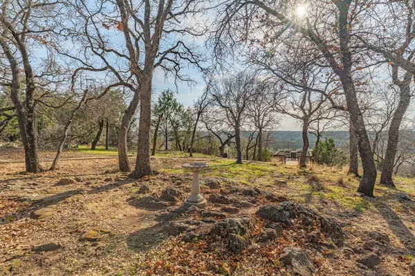 a view of a yard with trees