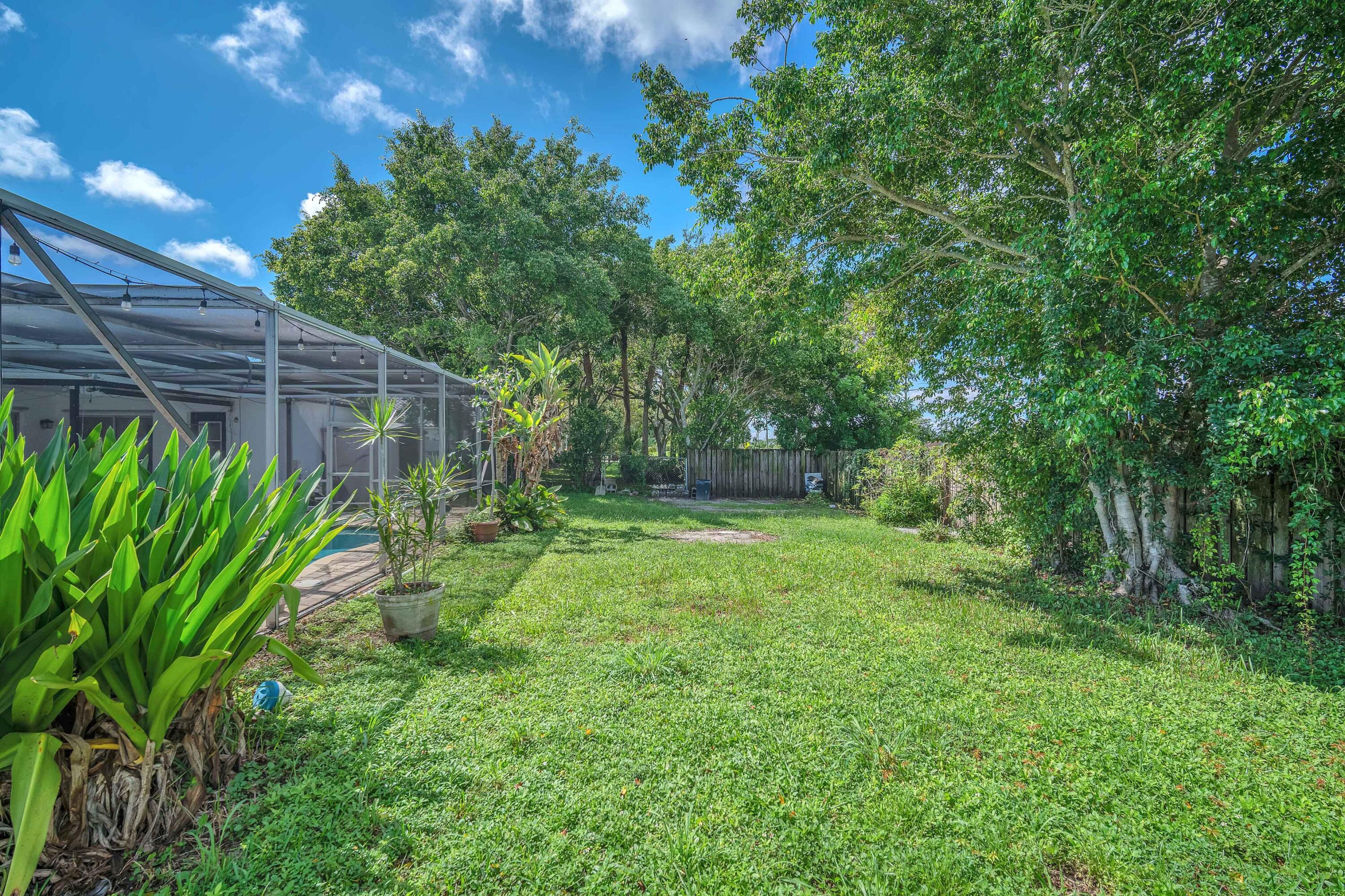 10985 Christopher Avenue Boca Raton, FL 33428 - Photo 19 of 24 a view of a yard with a tree