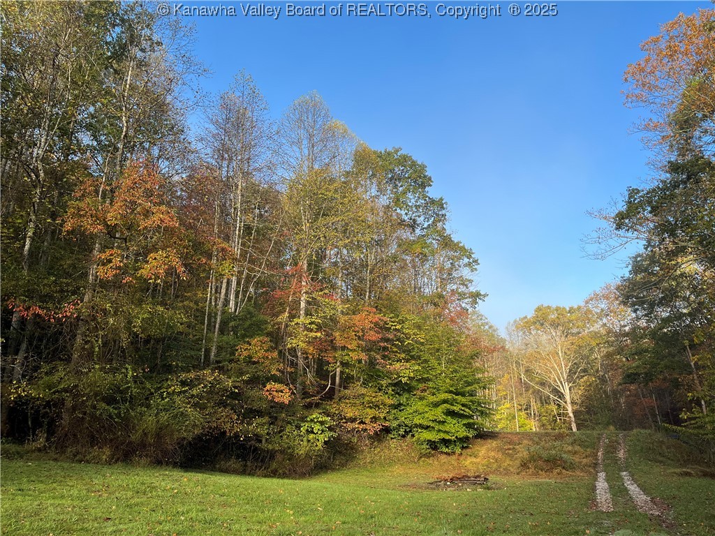 1459 Big Run Road Le Roy, WV 25252 - Photo 10 of 50 Gallery Image 10