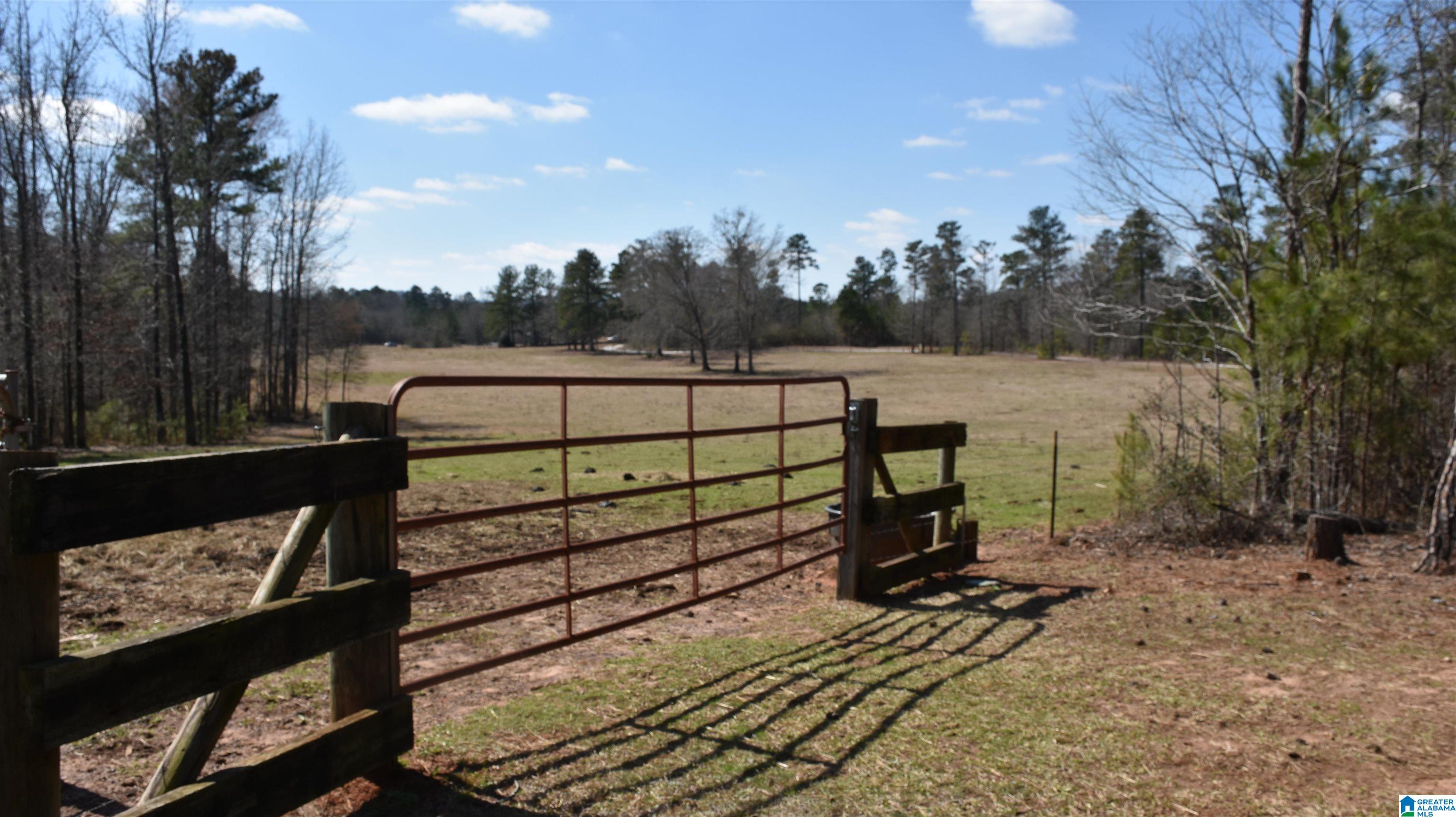 2003 New Maryland Road Alpine, AL 35014 - Photo 13 of 38