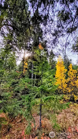 $255,000 | 6299 Alder Court, Wenatchee, WA 98801