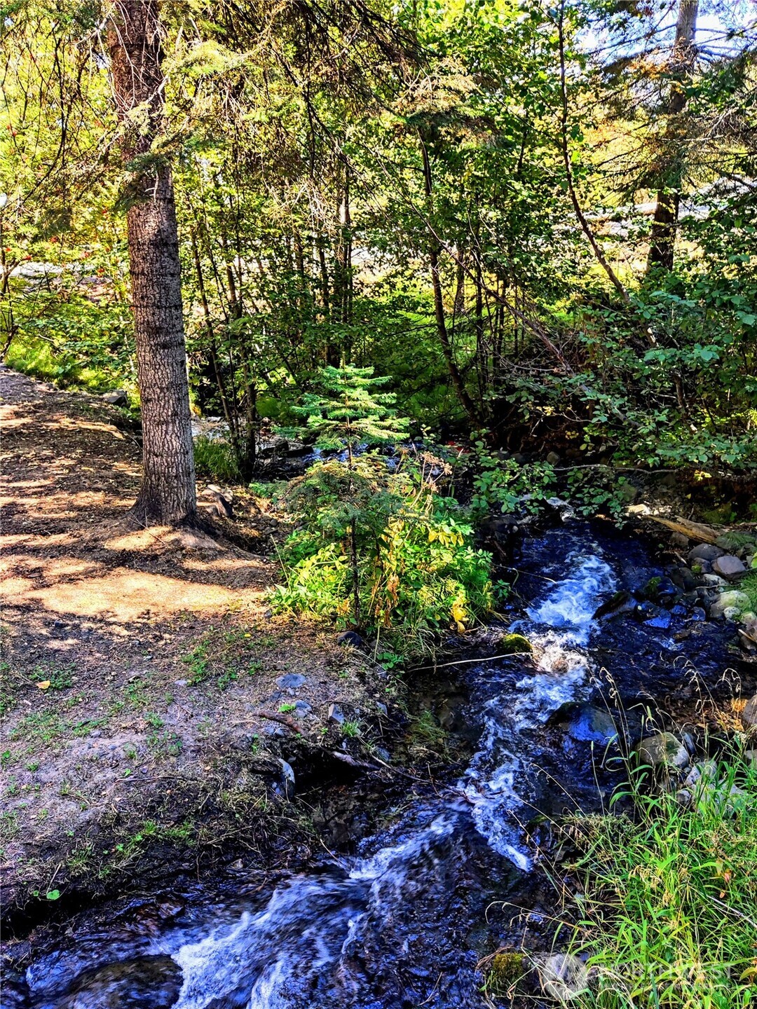 6299 Alder Court Wenatchee, WA 98801 - Photo 3 of 6 a view of a tree with a yard