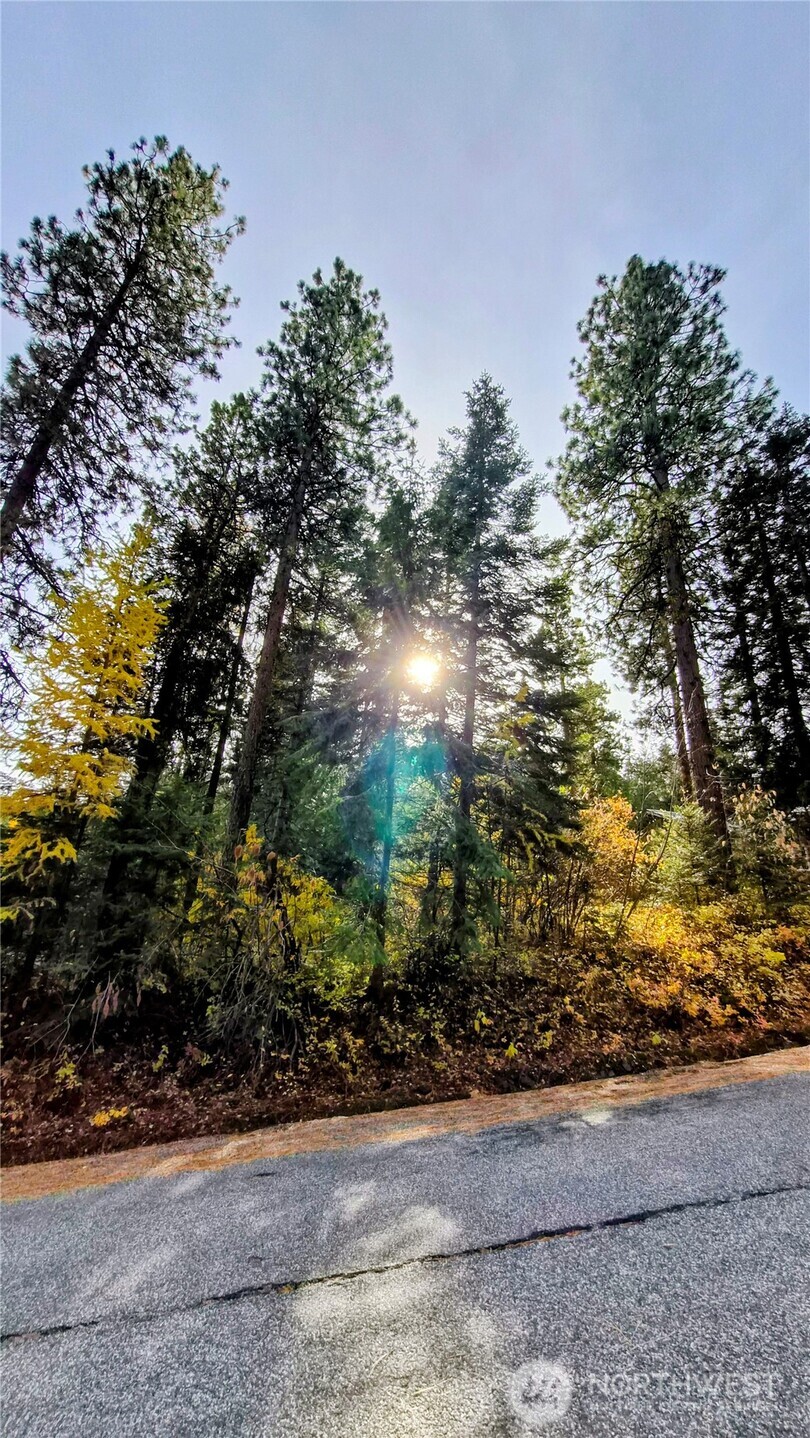 6299 Alder Court Wenatchee, WA 98801 - Photo 5 of 6 a view of a yard with plants and trees