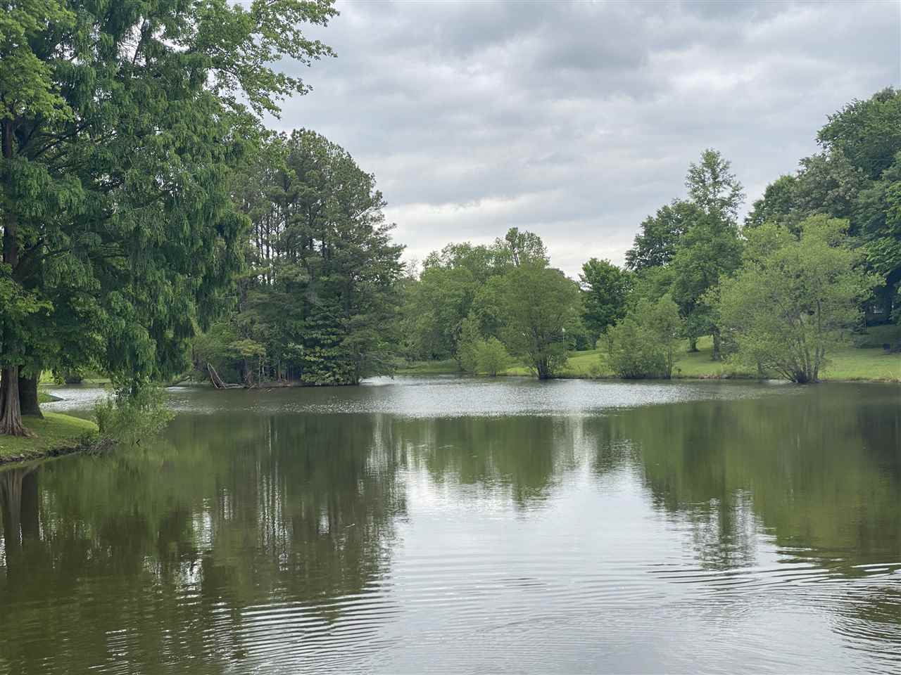 1670 Locke Road Millington, TN 38053 - Photo 17 of 20 Gallery Image 17