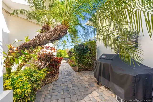 a view of a pathway with plants