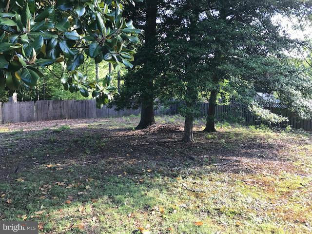 16428 Forrest Road King George, VA 22485 - Photo 22 of 23 Privacy Fenced in Back yard