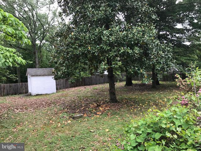 16428 Forrest Road King George, VA 22485 - Photo 23 of 23 Outdoor shed in back Yard