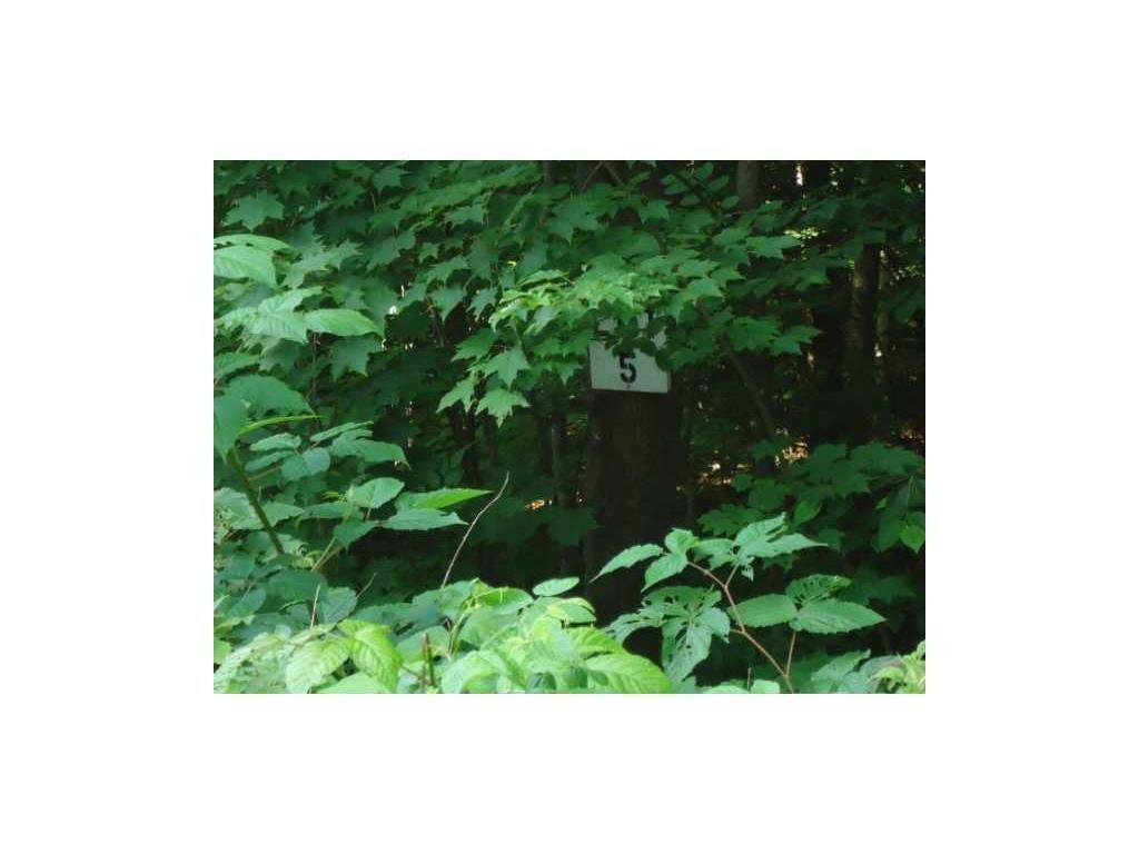 Lot#5 Ridge Road Sumner, ME 04292 - Photo 1 of 1 Ridge