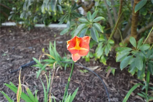 a view of a lake with boats next to a bridge