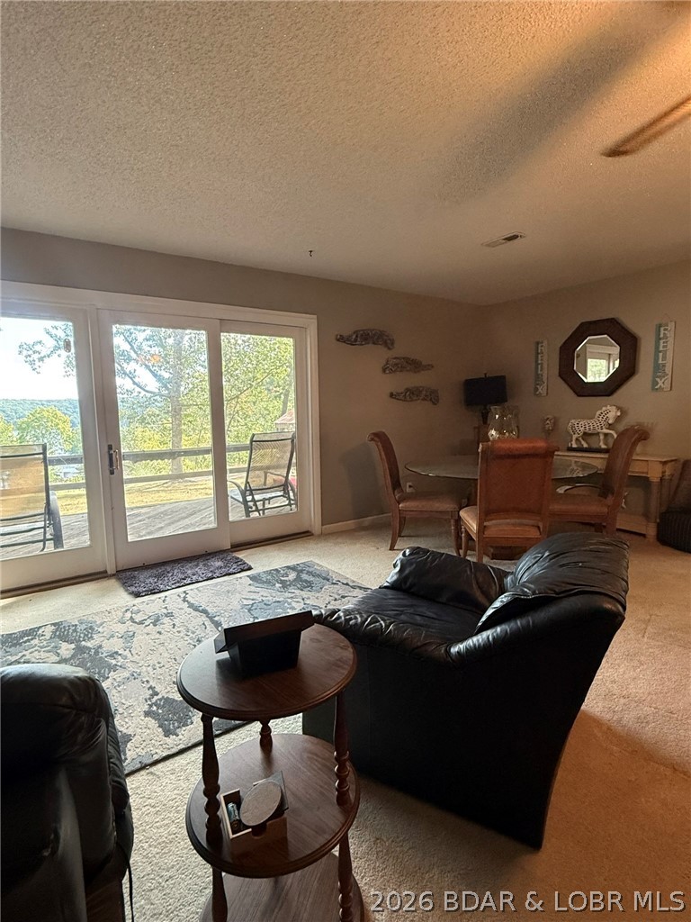 2880 Twin Rivers Point Camdenton, MO 65020 - Photo 11 of 85 Gallery Image 11