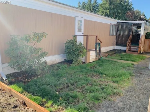 a view of a backyard with plants and a large tree