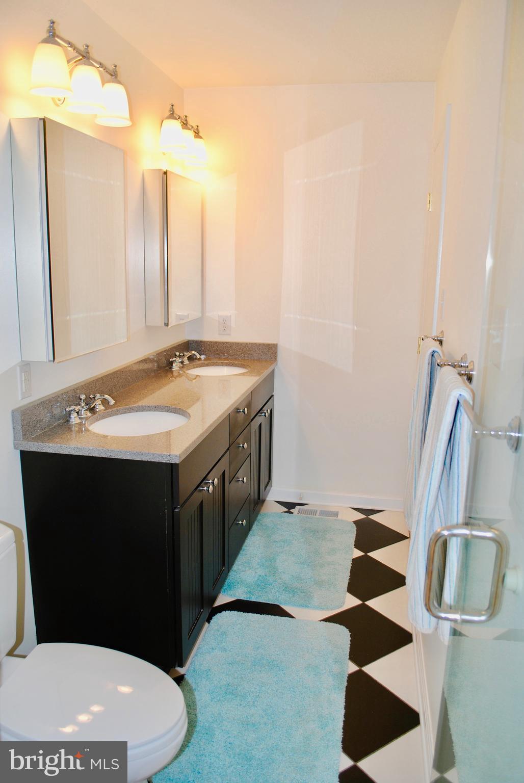 1423 Autumn Leaf Road Baltimore, MD 21286 - Photo 7 of 24 Master Bath