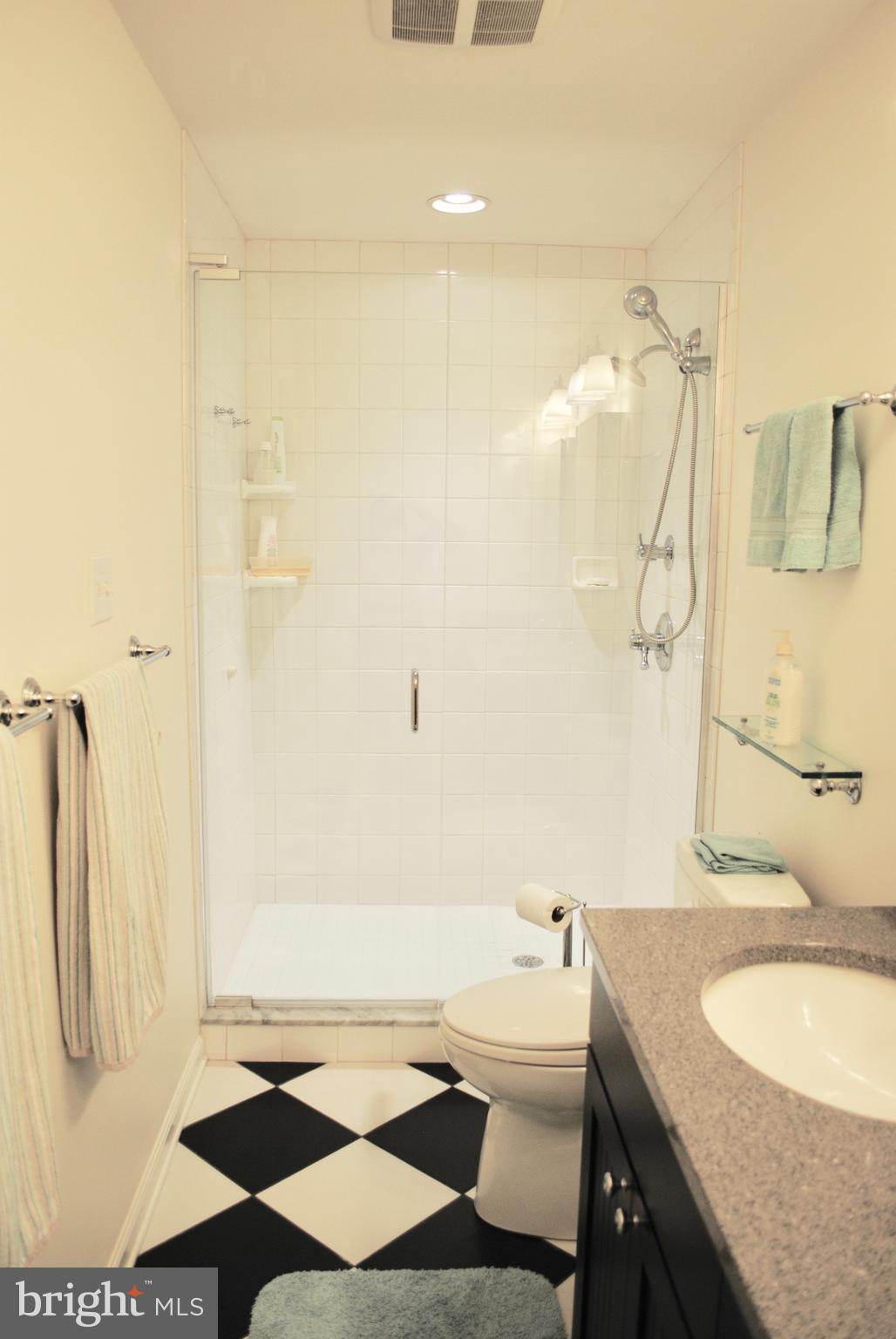 1423 Autumn Leaf Road Baltimore, MD 21286 - Photo 8 of 24 Master Bath