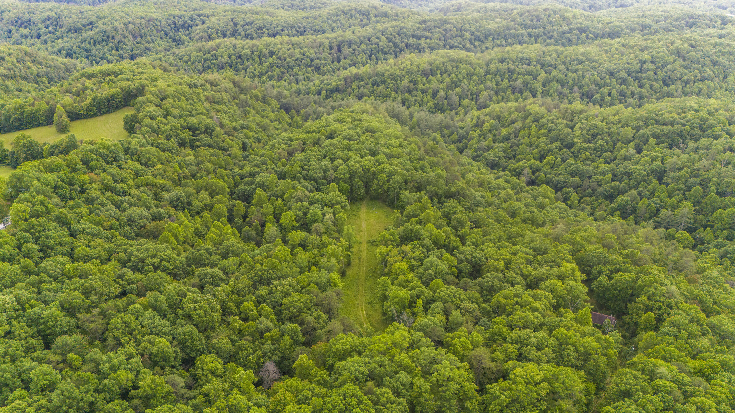 0 Shoemaker Ridge Zoe, KY 41397 - Photo 28 of 33 DJI_20250608151602_0013_D