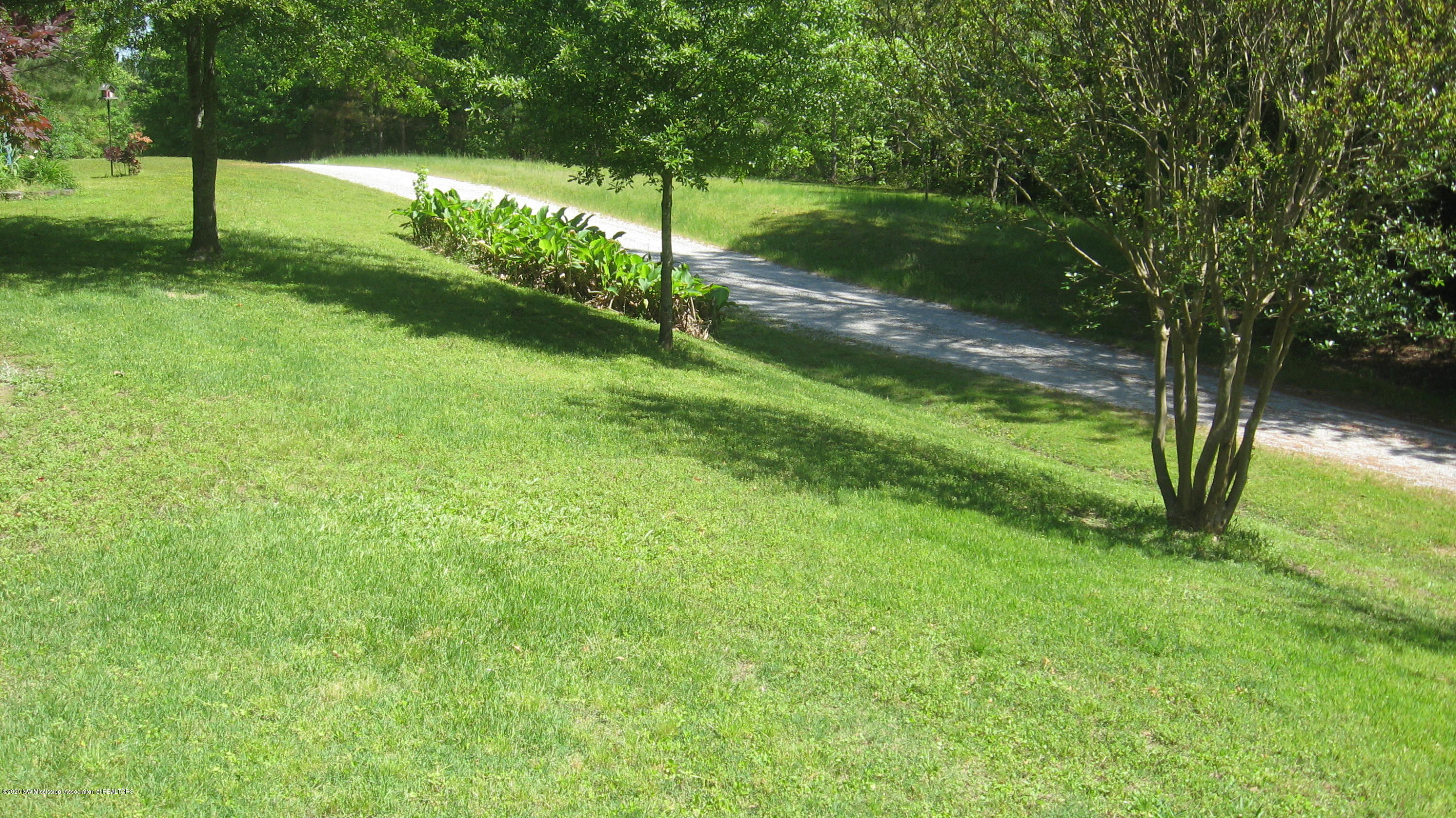 97 Lacy Ivy Road Potts Camp, MS 38659 - Photo 25 of 37 IMG_8399