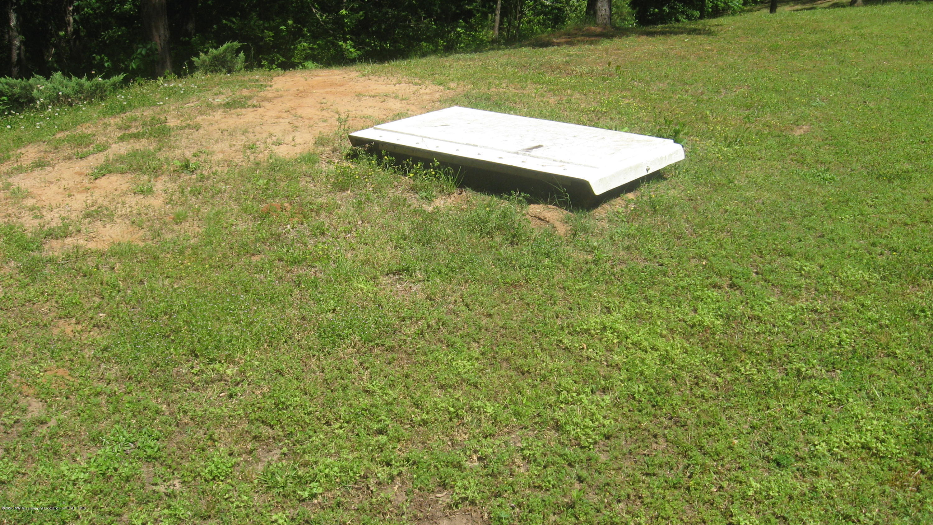 97 Lacy Ivy Road Potts Camp, MS 38659 - Photo 28 of 37 IMG_8402