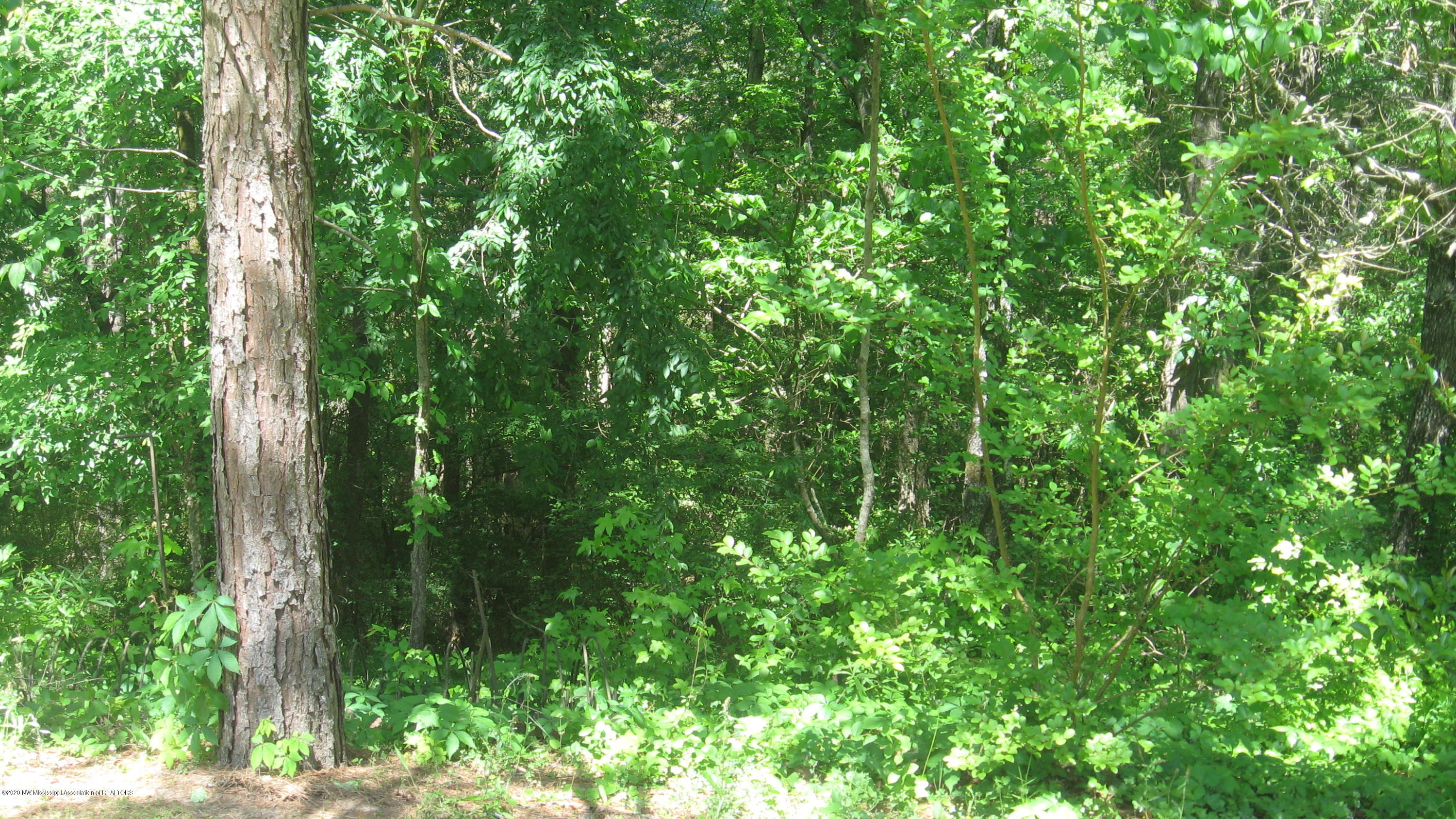 97 Lacy Ivy Road Potts Camp, MS 38659 - Photo 32 of 37 IMG_8406