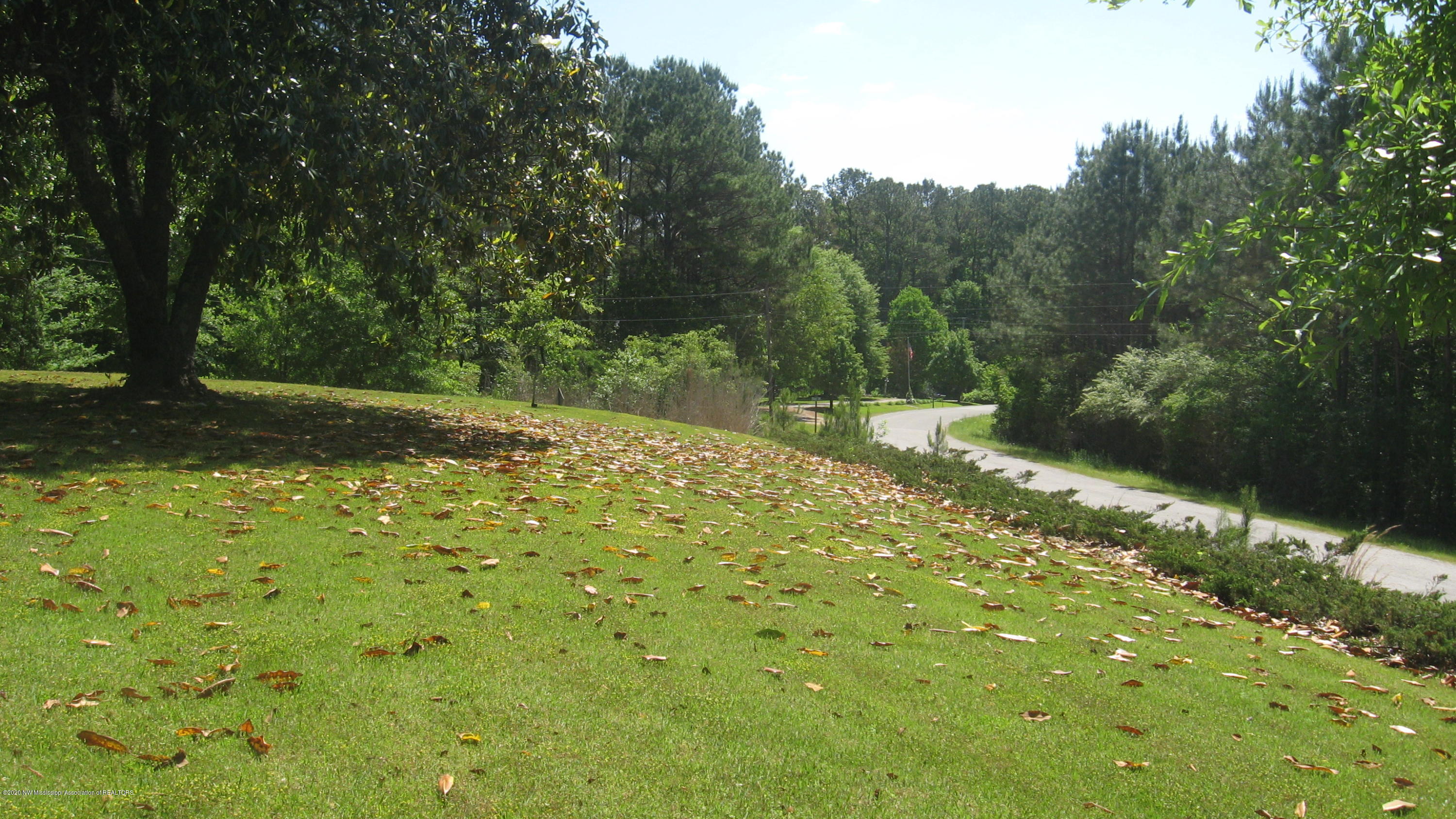 97 Lacy Ivy Road Potts Camp, MS 38659 - Photo 37 of 37 IMG_8412