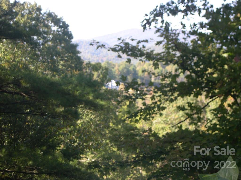 Tbd Halltown Road, Unit 8 Spruce Pine, NC 28777 - Photo 11 of 14 Gallery Image 11