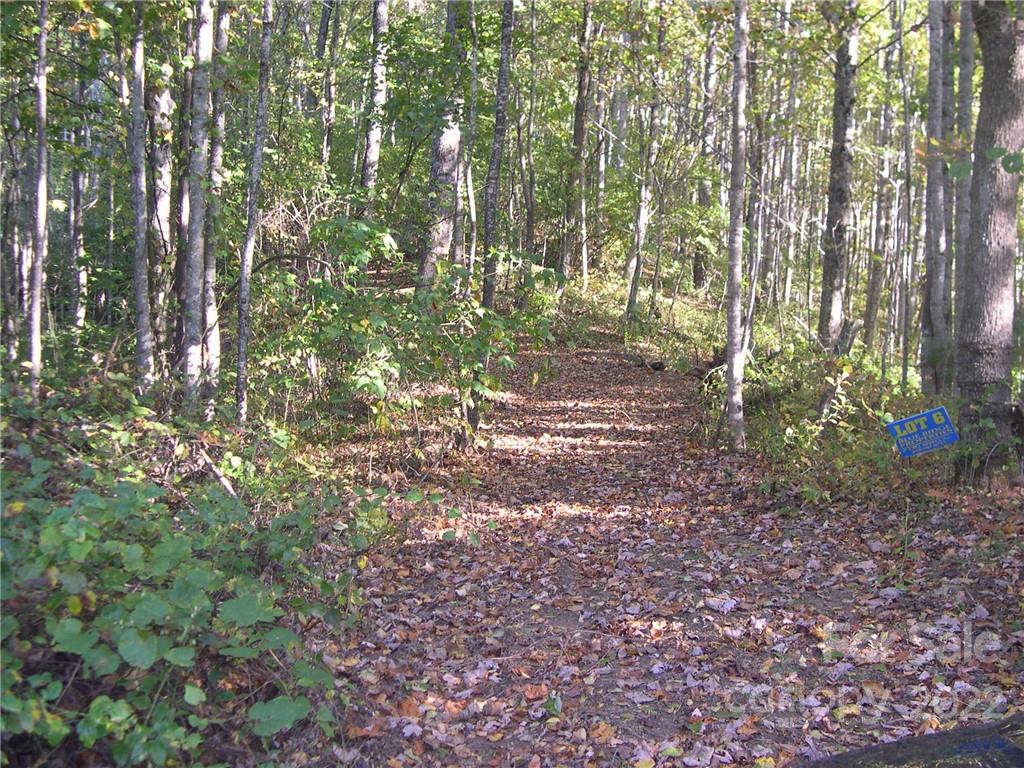 Tbd Halltown Road, Unit 8 Spruce Pine, NC 28777 - Photo 13 of 14 Gallery Image 13