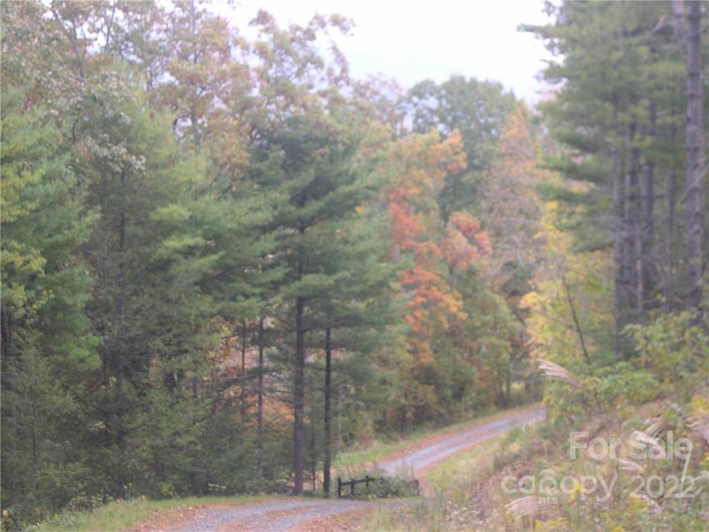 Tbd Halltown Road, Unit 8 Spruce Pine, NC 28777 - Photo 14 of 14 Gallery Image 14