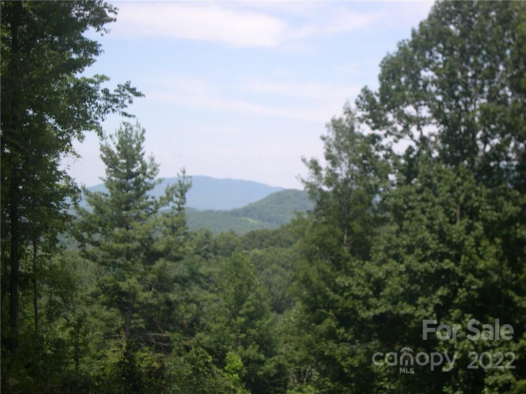 Tbd Halltown Road, Unit 8 Spruce Pine, NC 28777 - Photo 3 of 14 Gallery Image 3