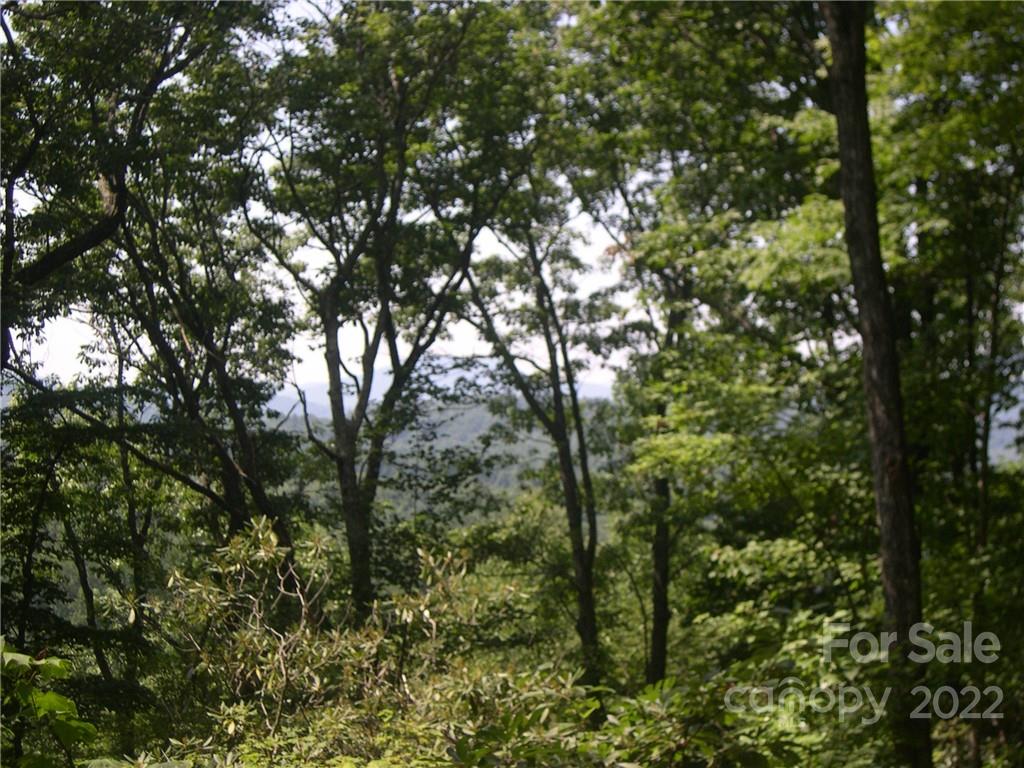 Tbd Halltown Road, Unit 8 Spruce Pine, NC 28777 - Photo 4 of 14 Gallery Image 4