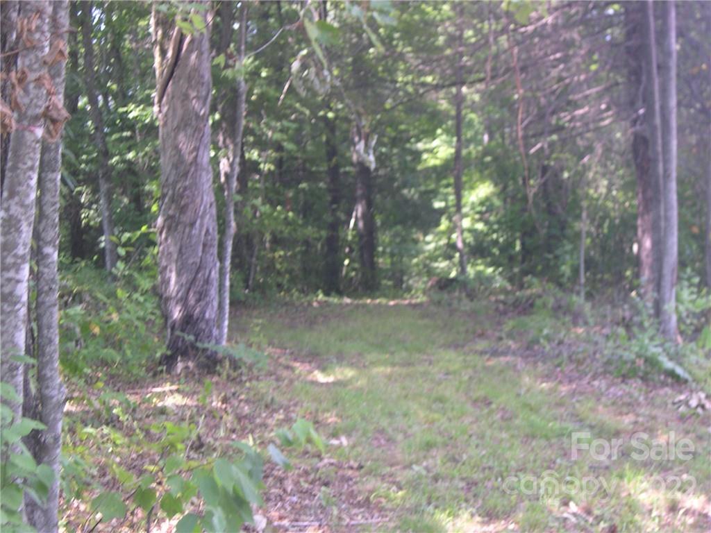 Tbd Halltown Road, Unit 8 Spruce Pine, NC 28777 - Photo 5 of 14 Gallery Image 5
