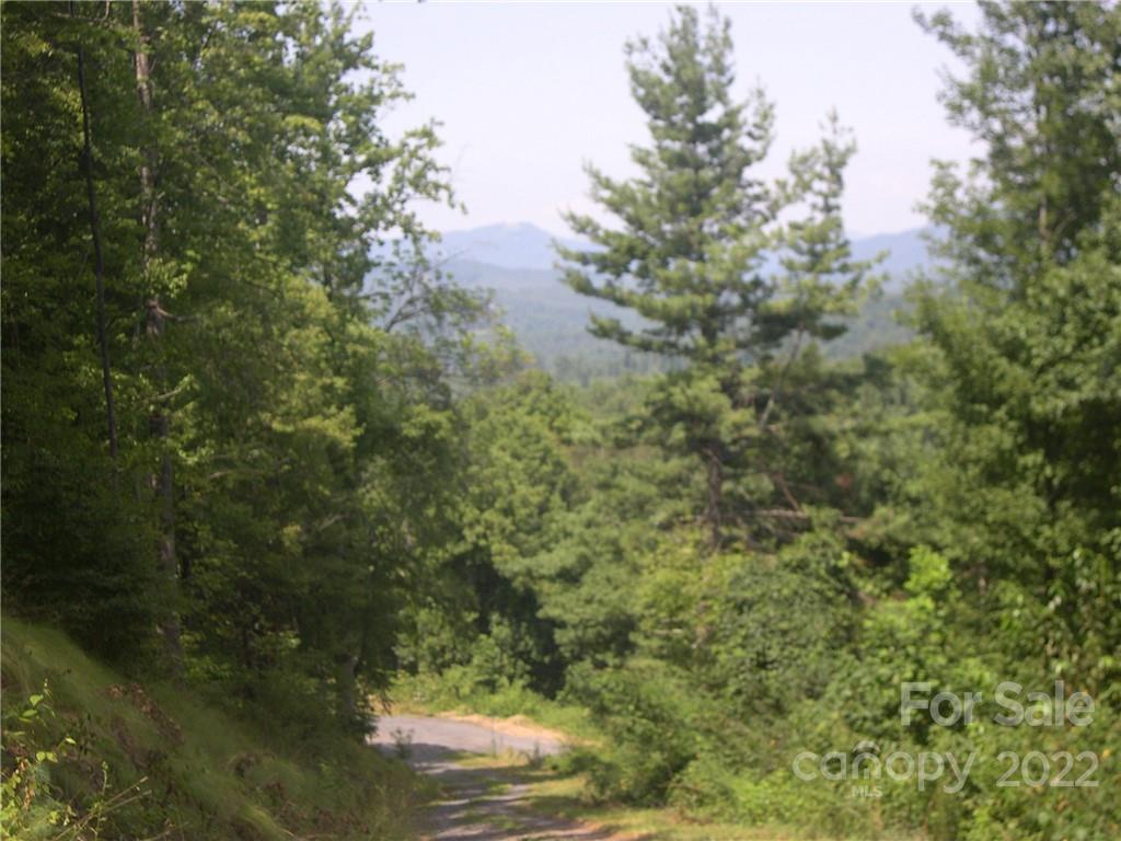 Tbd Halltown Road, Unit 8 Spruce Pine, NC 28777 - Photo 6 of 14 Gallery Image 6