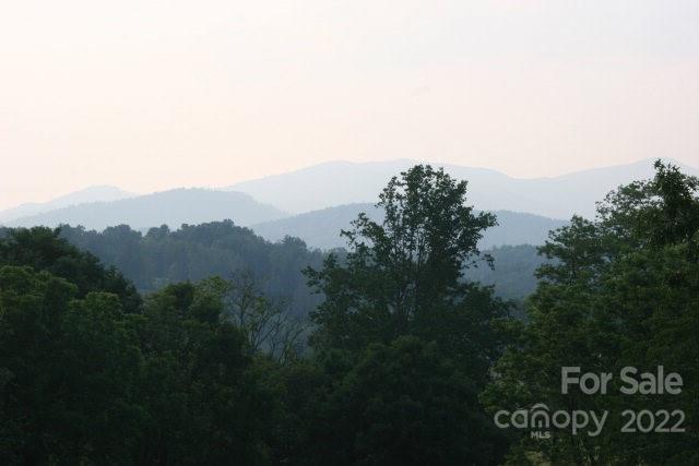 Tbd Halltown Road, Unit 8 Spruce Pine, NC 28777 - Photo 8 of 14 Gallery Image 8
