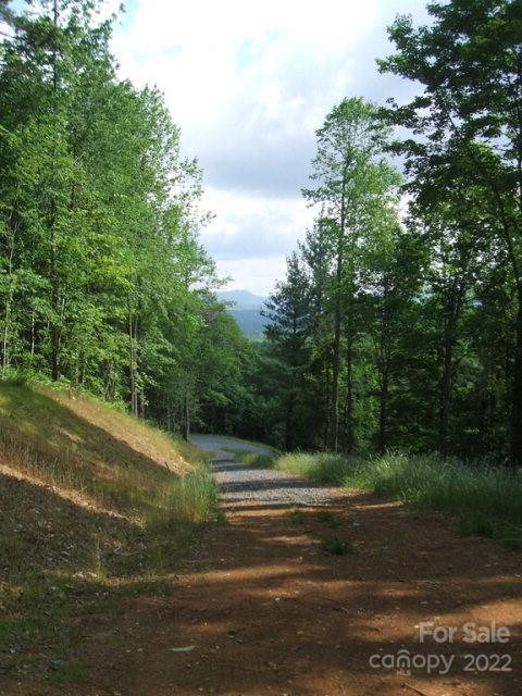 Tbd Halltown Road, Unit 8 Spruce Pine, NC 28777 - Photo 9 of 14 Gallery Image 9