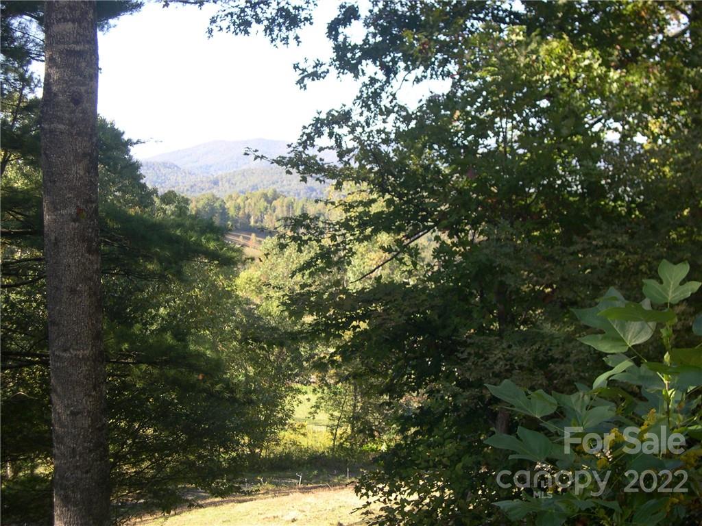 Tbd Halltown Road, Unit 8 Spruce Pine, NC 28777 - Photo 10 of 14 Gallery Image 10