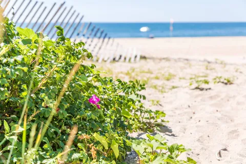 $3,995,000 | 11 Terry Drive, Sag Harbor, NY 11963