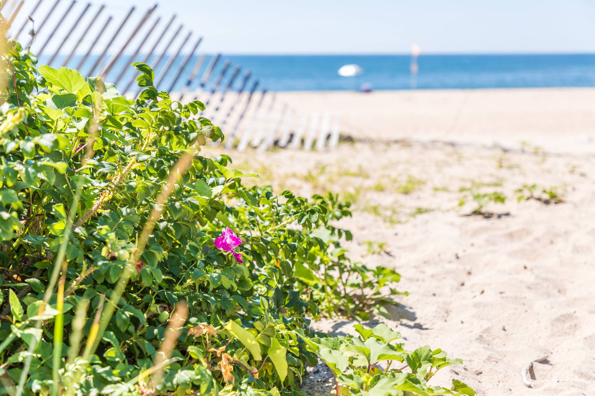 11 Terry Drive Sag Harbor, NY 11963 - Photo 6 of 9