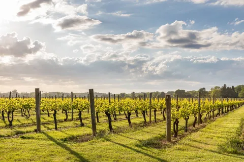 $3,995,000 | 11 Terry Drive, Sag Harbor, NY 11963