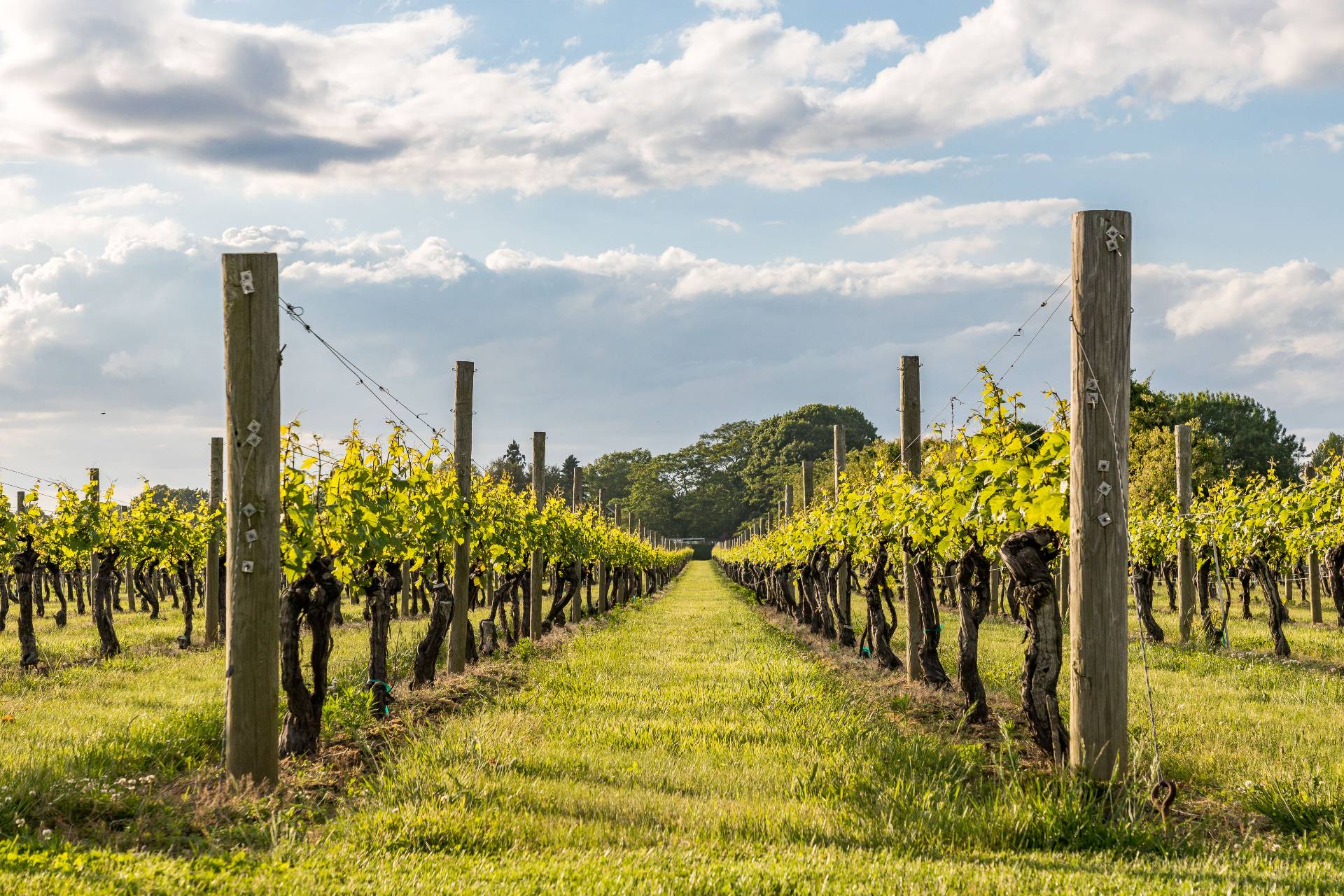 11 Terry Drive Sag Harbor, NY 11963 - Photo 9 of 9