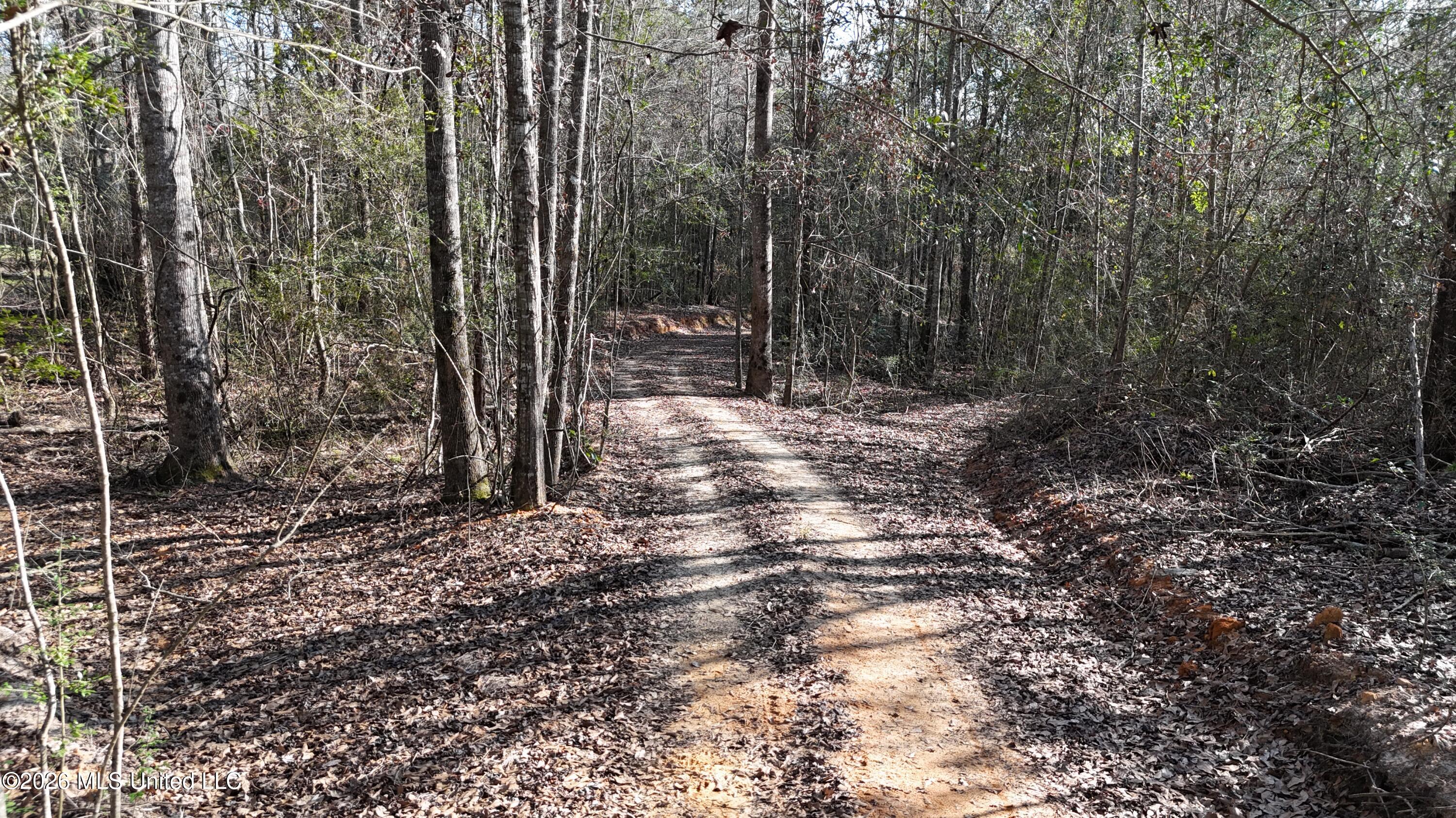 1771 Ridge Road Perkinston, MS 39573 - Photo 24 of 36 Trails 3