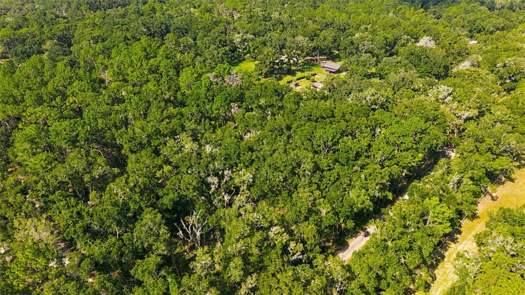 Lonesome Road Brooksville, FL 34601 - Photo 5 of 11 Gallery Image 5