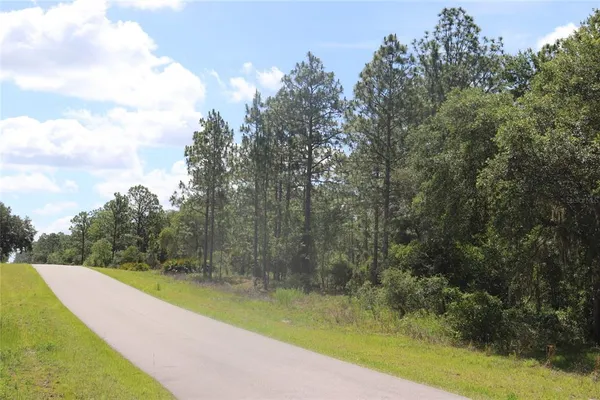 $34,900 | Tbd Southeast 114th Place, Dunnellon, FL 34433