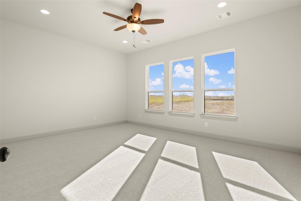 137 Lila Lake Drive Waxahachie, TX 75165 - Photo 23 of 32