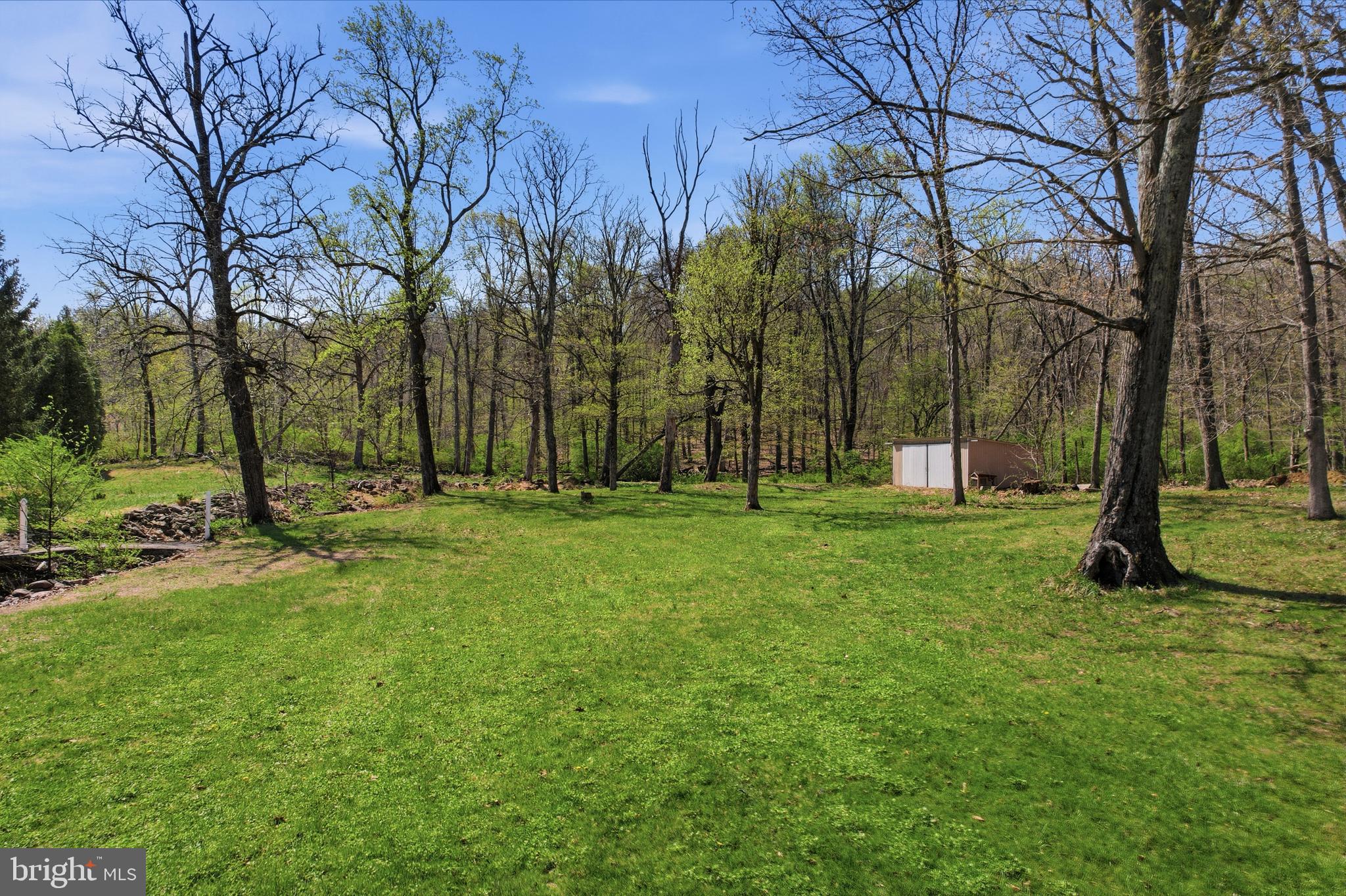 238 Kemp Road Barto, PA 19504 - Photo 35 of 68 Rear yard