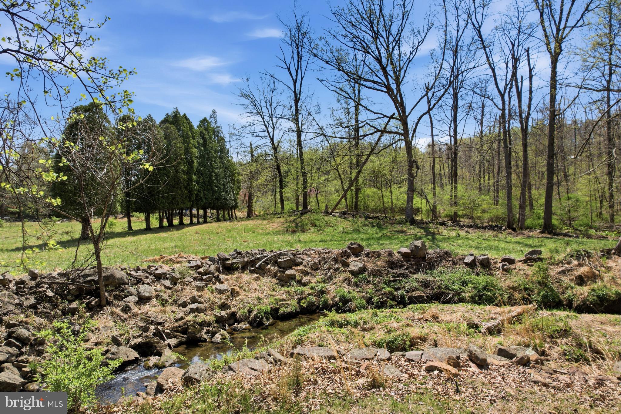 238 Kemp Road Barto, PA 19504 - Photo 41 of 68 Ever flowing stream rear yard with native trout